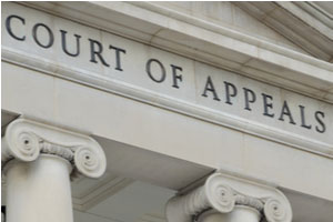 Florida Family Law Appeals
